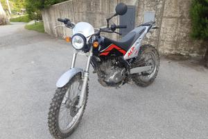Beta alp 200