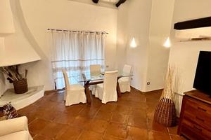 Trivano LISCIA DI VACCA