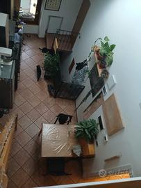 Casa indipendente Con Giardino privato