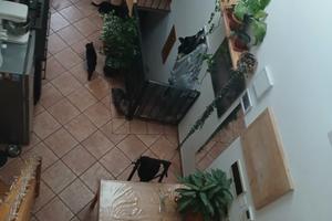 Casa indipendente Con Giardino privato