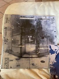 Vinile canerandagio pt.2