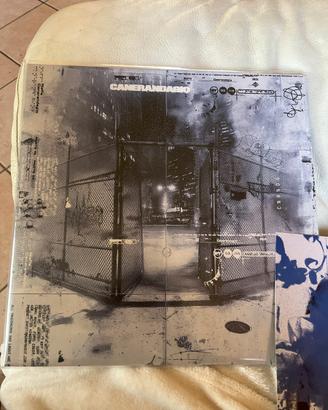 Vinile canerandagio pt.2
