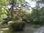 Immagine 26