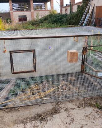 GABBIA / VOLIERA PER PAPPAGALI O VOLATILI