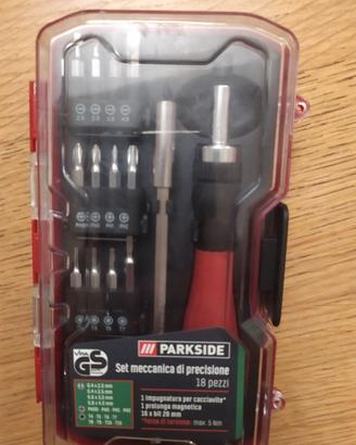 Kit cacciavite di precisione Parkside