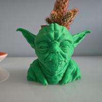 Vaso Yoda - Star Wars