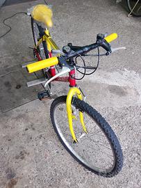 bici. bmt