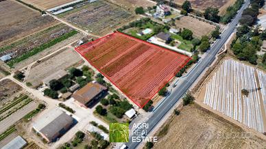 Terreno agricolo di 1 ettaro