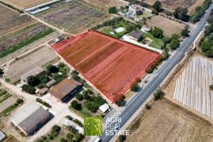Terreno agricolo di 1 ettaro