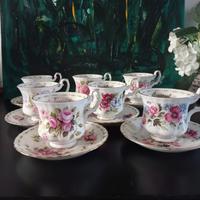 Tazzine Royal Albert flower of the month