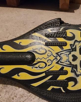 skateboard 2 ruote 
