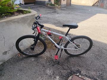 bicicletta