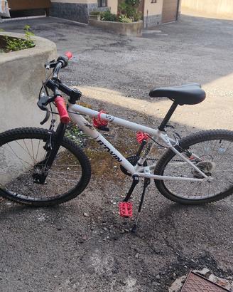 bicicletta