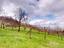 Immagine 22