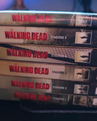 the walking dead stagione 1-6 