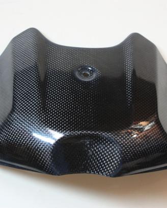 CARBONIO x Triumph Speed triple 2011/15