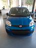 fiat-panda