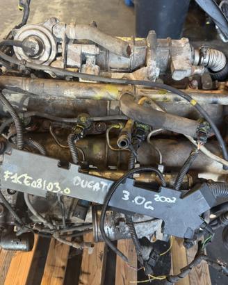 motore usato fiat ducato 3.0 gasolio F1CE08103.0