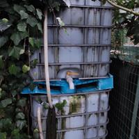 cisterne per recupero acqua piovana