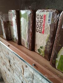 Fibra di cocco essiccata 