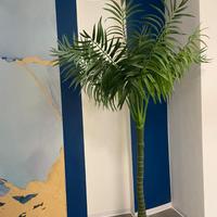 Pianta finta decorativa