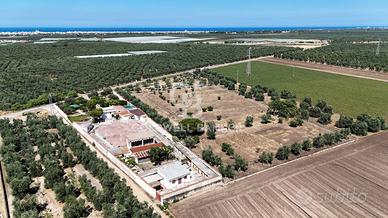 Masseria - Trani