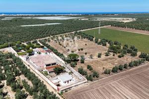 Masseria - Trani