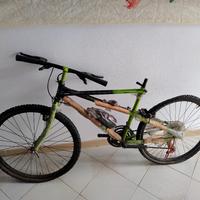 Bianchi ragno Thomisus nuova impacchettata