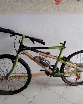 Bianchi ragno Thomisus nuova impacchettata