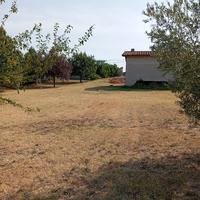 Terreno con casale