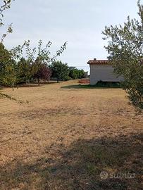 Terreno con casale