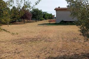 Terreno con casale