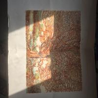 litografia castelli 63 