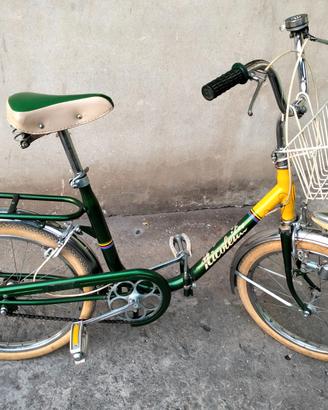 Bicicletta vintage perfetta