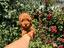 Immagine 4