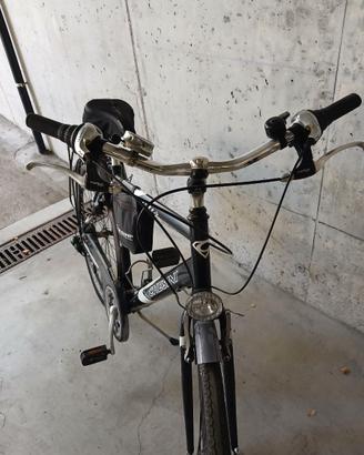 Bicicletta Chesini uomo