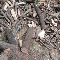 legna da ardere leccio ulivo quercia ecc.