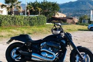 Harley Davidson v-rod