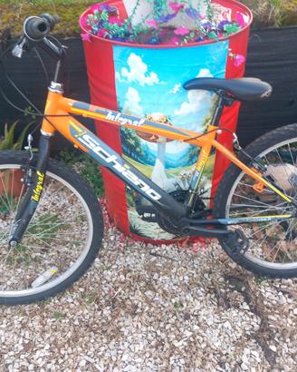 bicicletta 