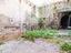 Immagine 7