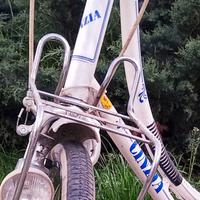 Atala Cinzia Bicicletta Olandesina  cerchio da 26"