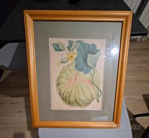 quadro