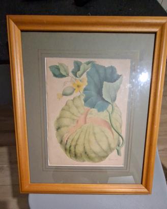 quadro
