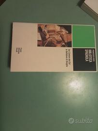 letteratura spagnola 