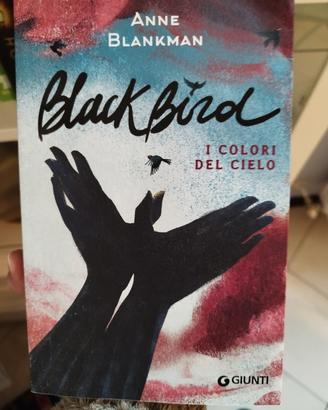 Black Bird i colori del cielo 