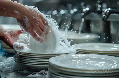 Lavapiatti Tuttofare