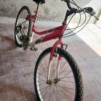 Mountain bike donna 26”