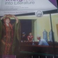 insight into literature 