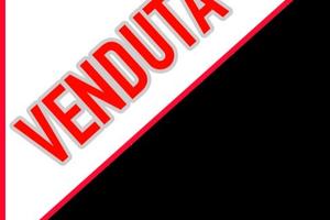 YAMAHA FZ1 DEL 2006 compreso trapasso-tagliando-ga