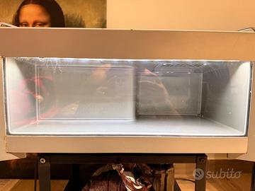 Mini frigo redbull
